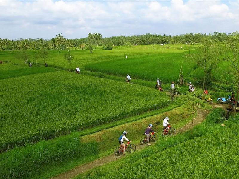 Ubud E-Bike Cycling Tours (3)